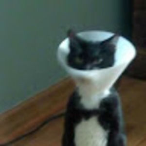 Meet your Posher, Hot